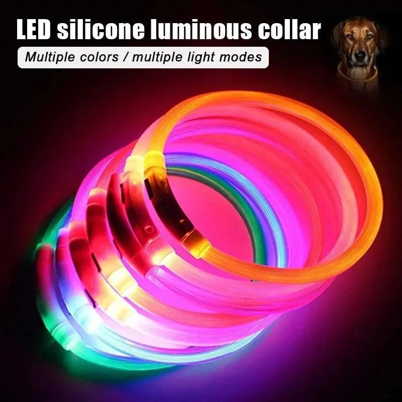 LED Rechargeable Dog & Cat Collar