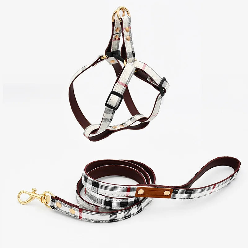 Adjustable Dog & Cat Harness and Leash Set