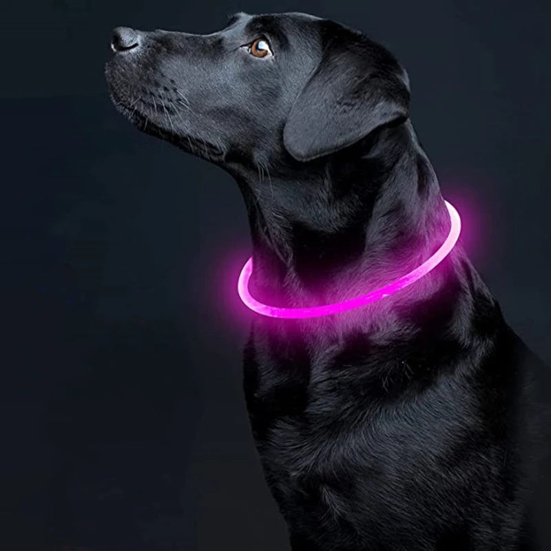 LED Rechargeable Dog & Cat Collar