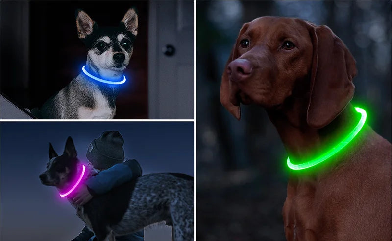 LED Rechargeable Dog & Cat Collar