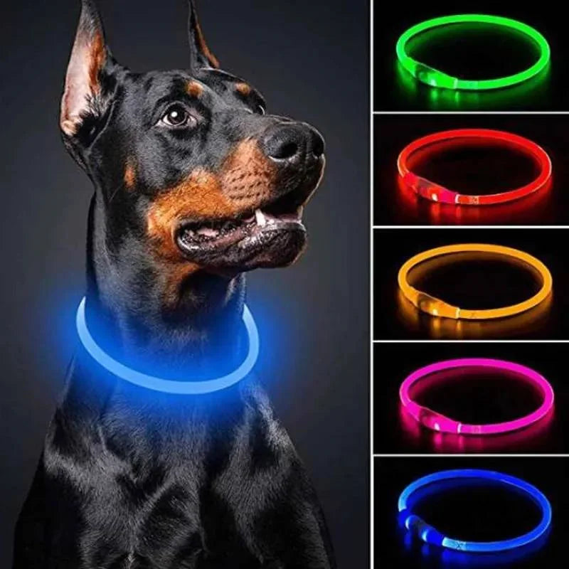LED Rechargeable Dog & Cat Collar