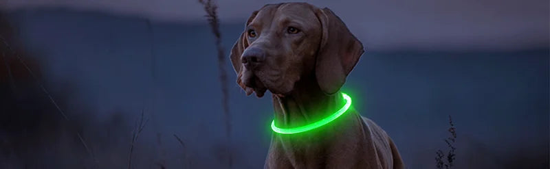 LED Rechargeable Dog & Cat Collar